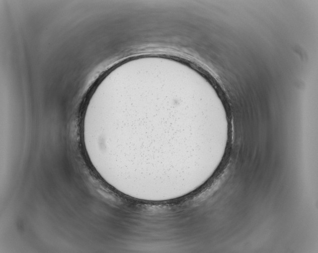 X0000111661501200908141302