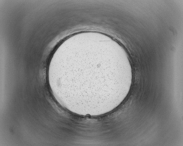 X0000111661503200908141302