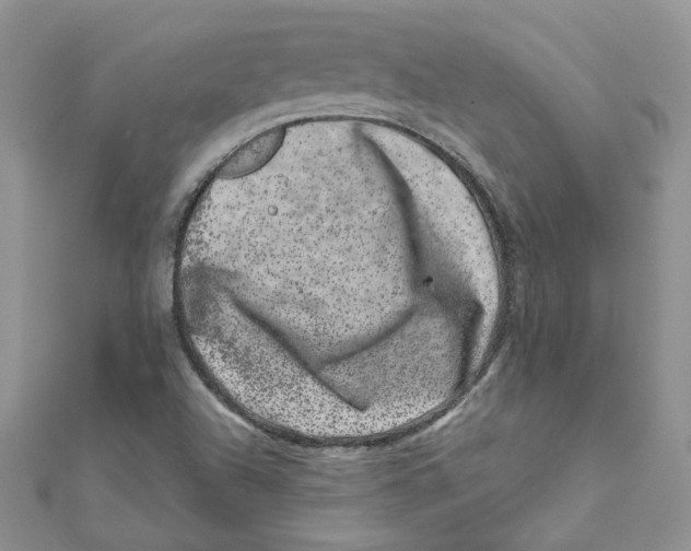 X0000111661504200908141302