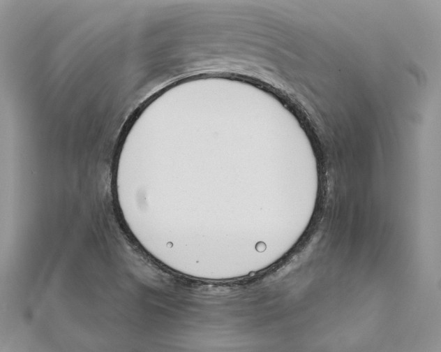 X0000111661505200908141302