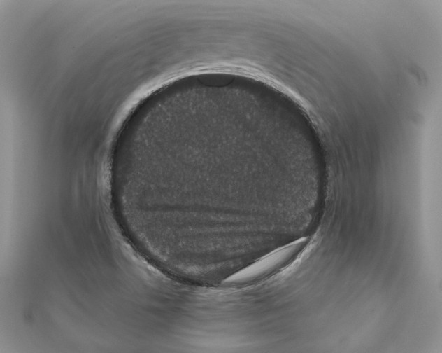 X0000111661506200908141302