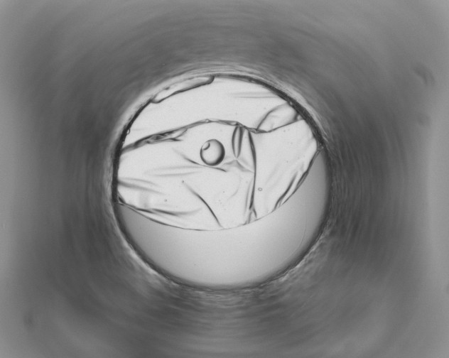 X0000111661508200908141302