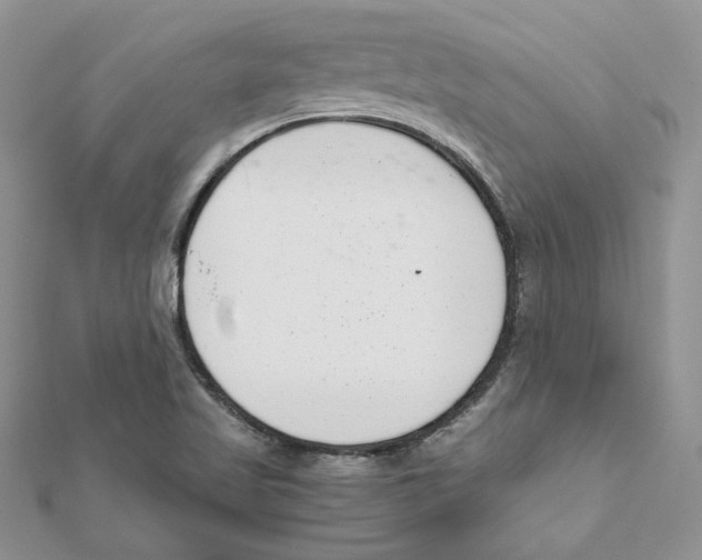 X0000111661509200908141302