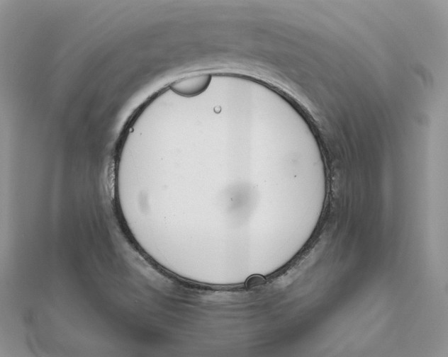 X0000111661510200908141302