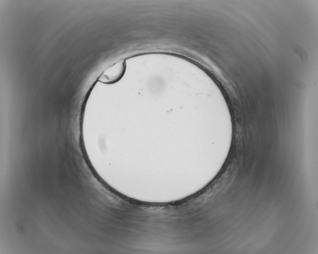 X0000111661512200908141302