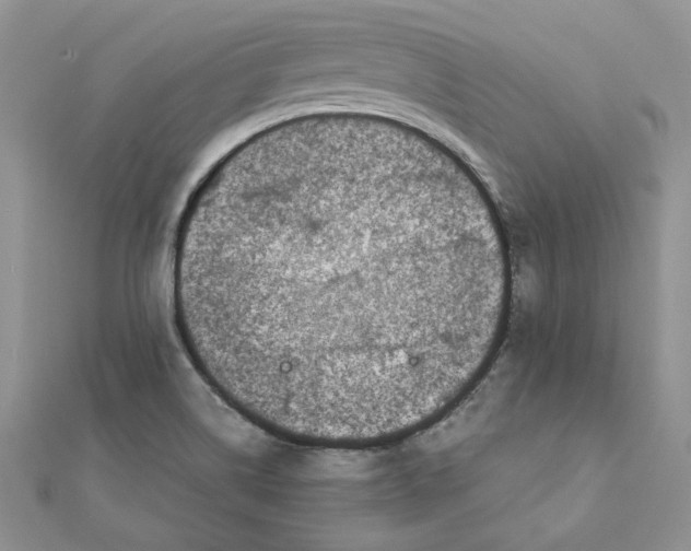 X0000111661514200908141302