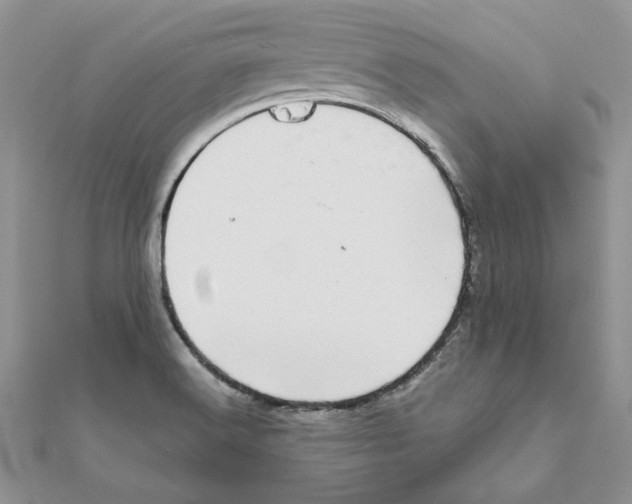 X0000111661516200908141302