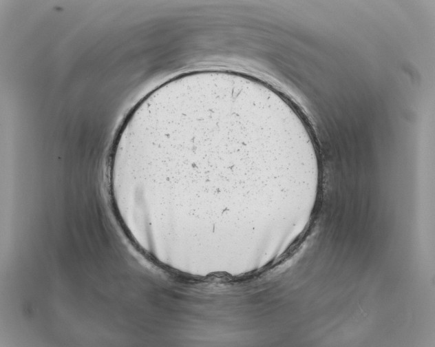 X0000111661517200908141302