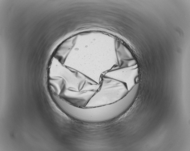 X0000111661518200908141302