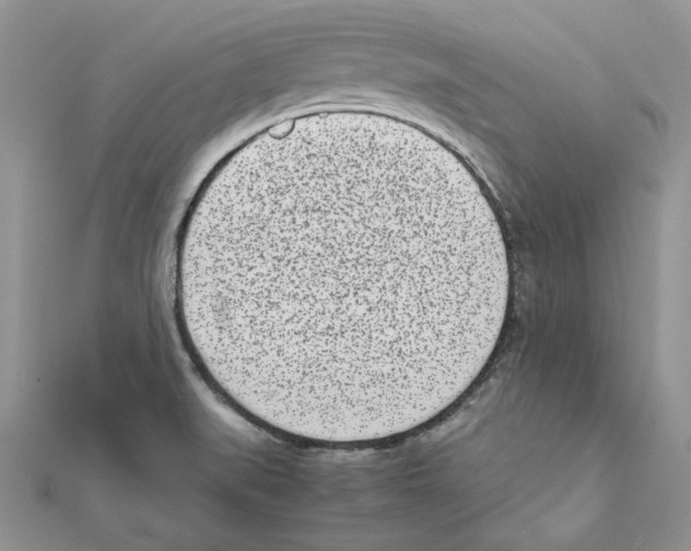 X0000111661519200908141302