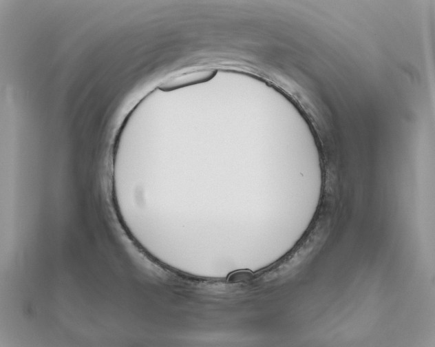 X0000111661520200908141302