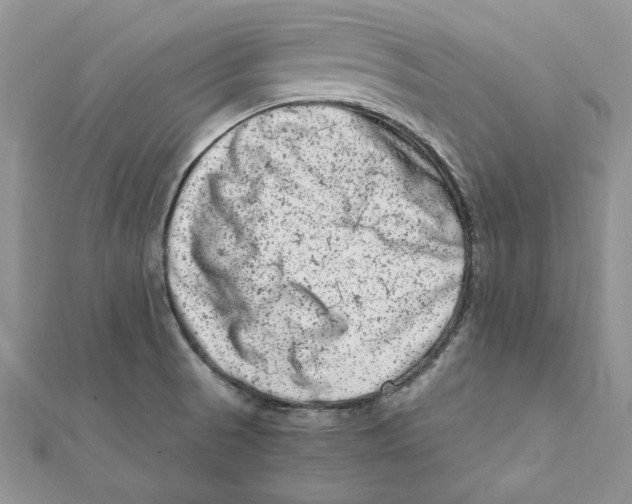 X0000111661521200908141302