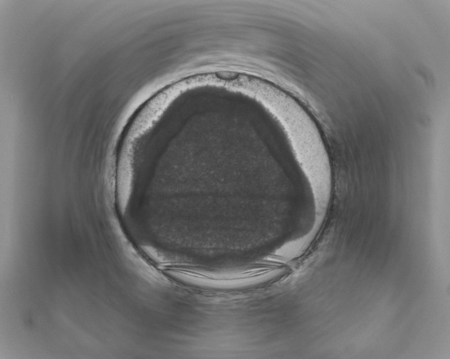 X0000111661522200908141302