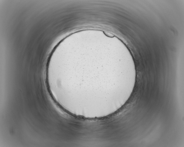 X0000111661523200908141302