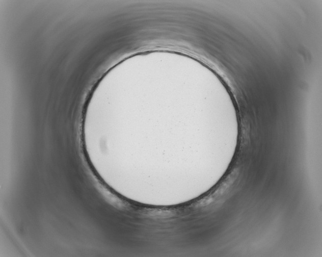 X0000111661525200908141302