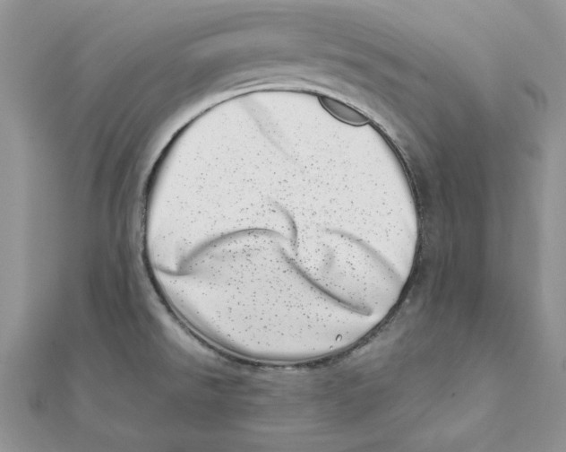 X0000111661526200908141302