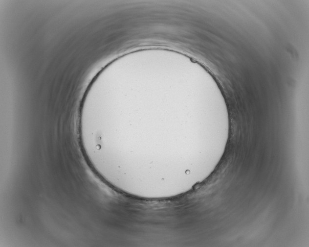 X0000111661527200908141303