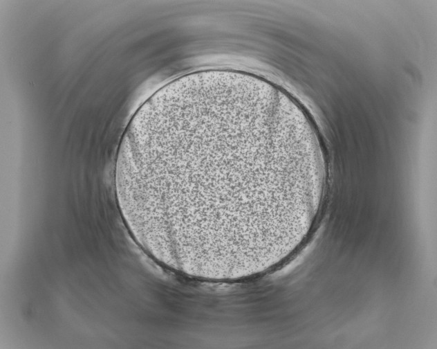 X0000111661529200908141303