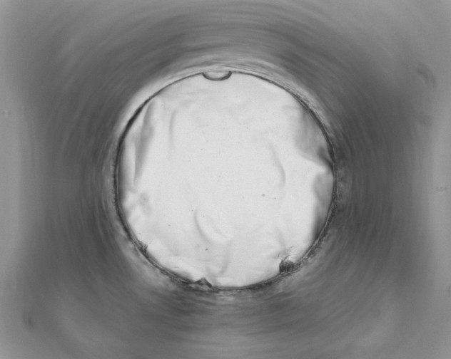 X0000111661530200908141303