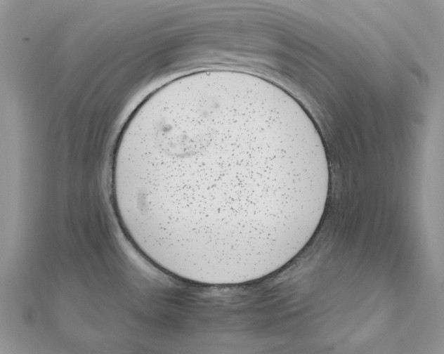 X0000111661531200908141303