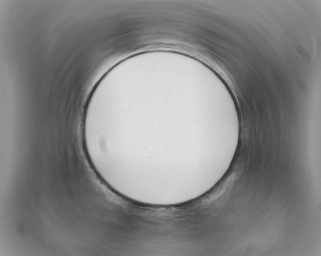 X0000111661533200908141303