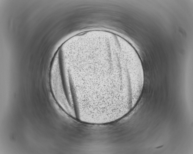 X0000111661534200908141303