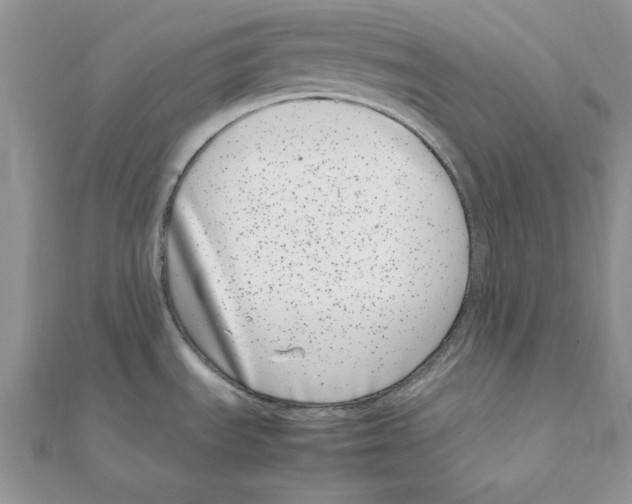 X0000111661535200908141303