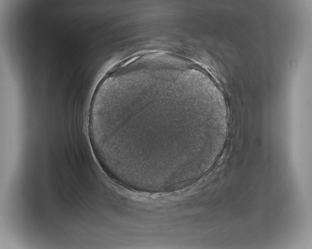 X0000111660003200908281119