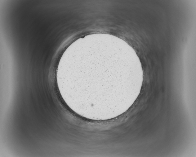 X0000111660005200908281119