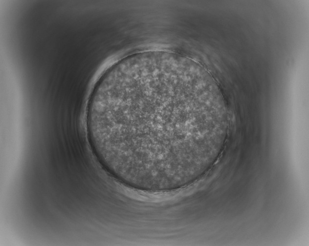 X0000111660006200908281119