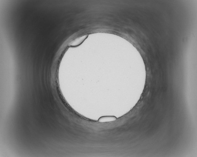 X0000111660007200908281119