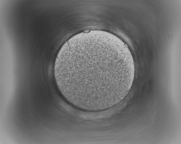 X0000111660009200908281119