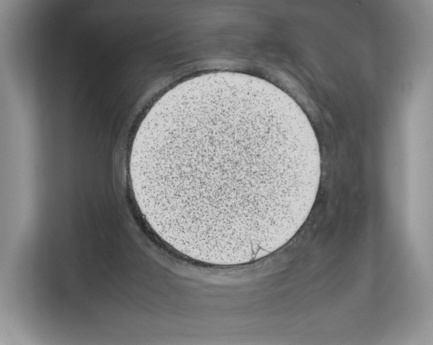 X0000111660011200908281119