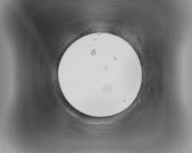 X0000111660017200908281119