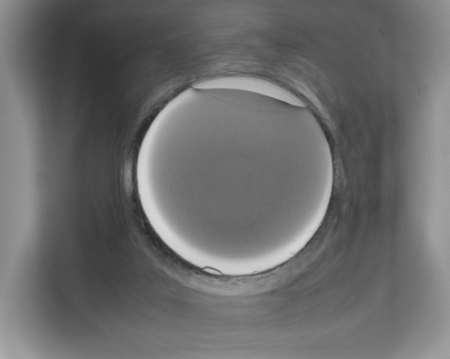 X0000111660019200908281119