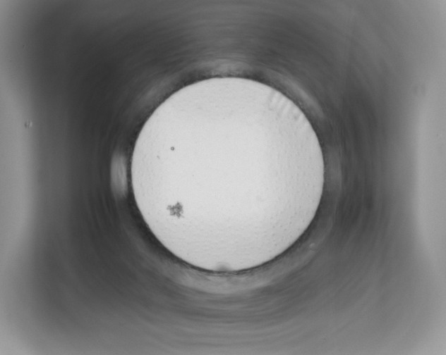 X0000111660022200908281119