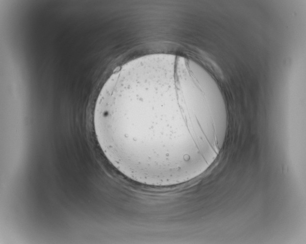 X0000111660025200908281119