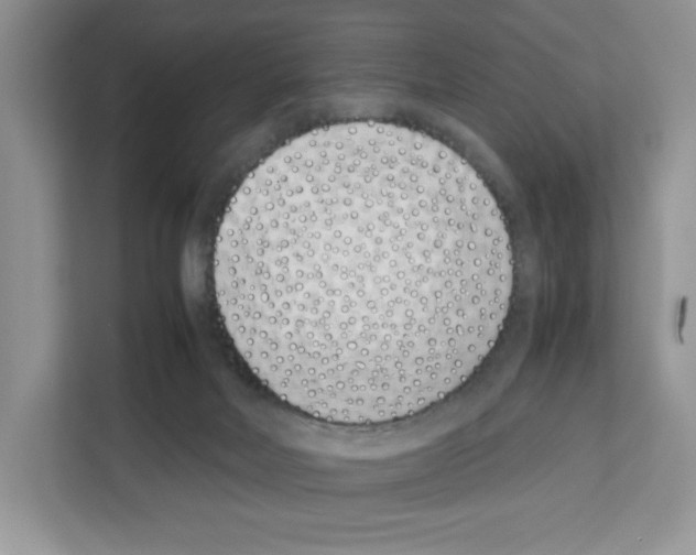 X0000111660026200908281119