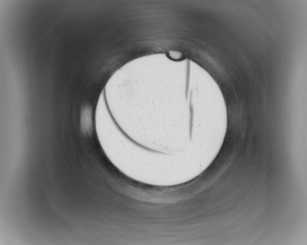 X0000111660028200908281119