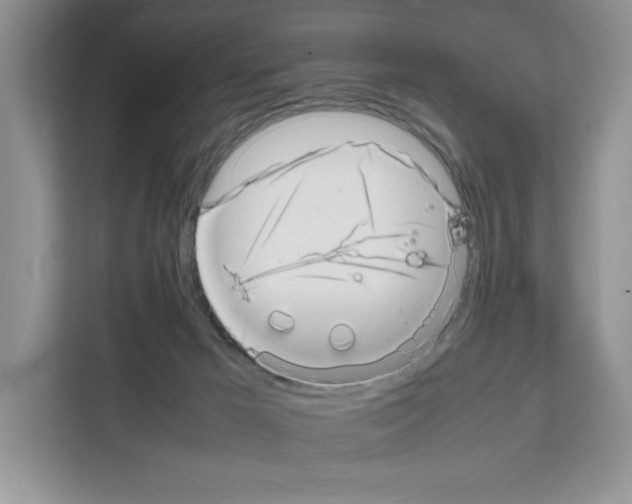 X0000111660029200908281119