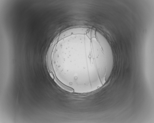 X0000111660033200908281119