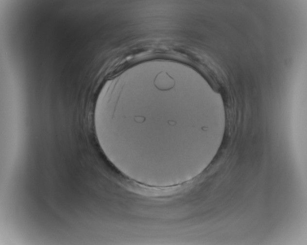 X0000111660035200908281119