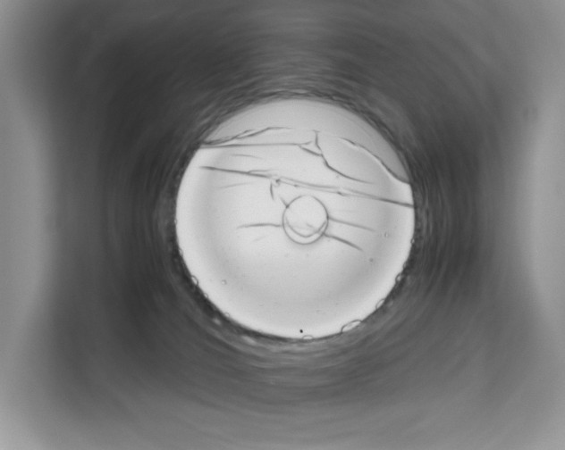 X0000111660036200908281119