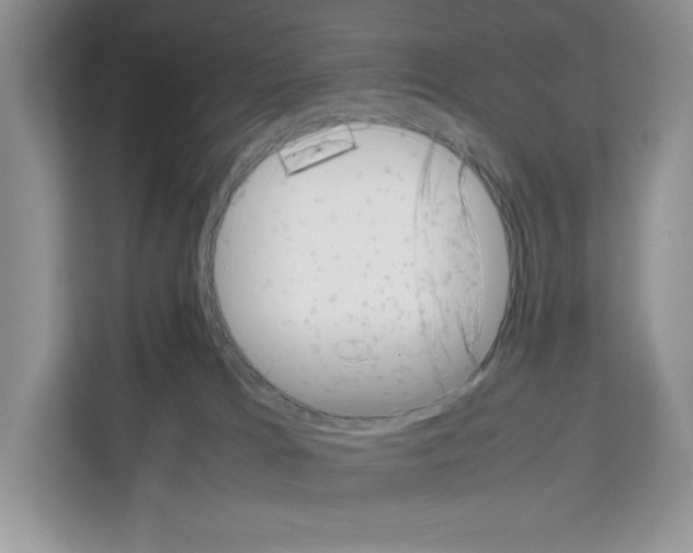 X0000111660037200908281118