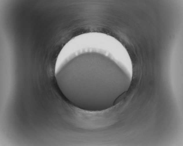 X0000111660039200908281118