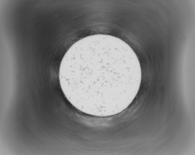 X0000111660040200908281118