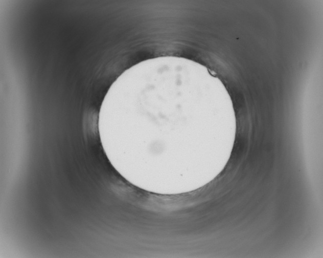 X0000111660041200908281118