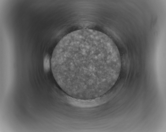 X0000111660042200908281118