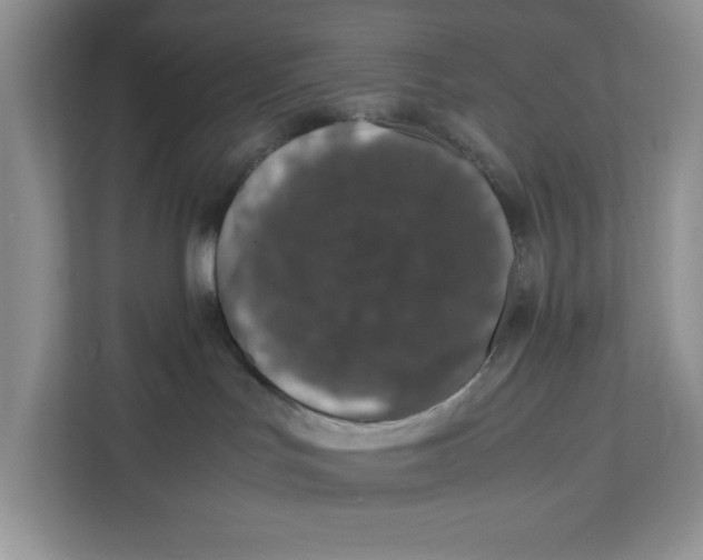 X0000111660047200908281118