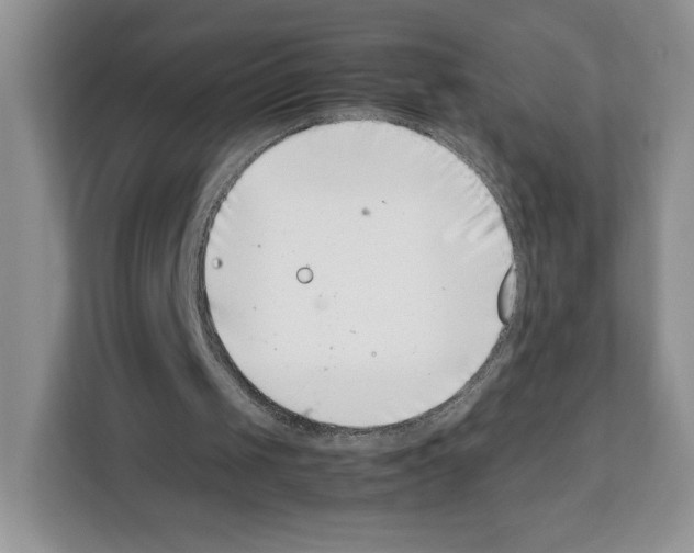 X0000111660049200908281118